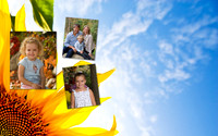 sunflower website header